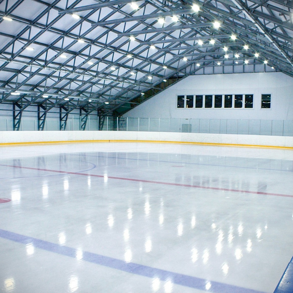 Ледовая арена 3.jpg